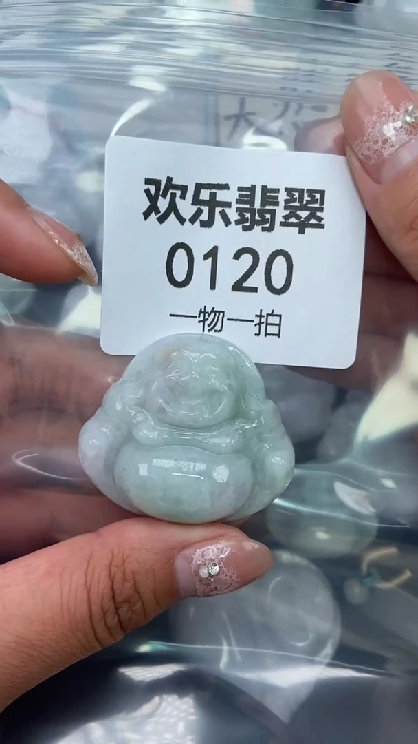 颈饰未镶嵌翡翠缅甸天然翡翠0120