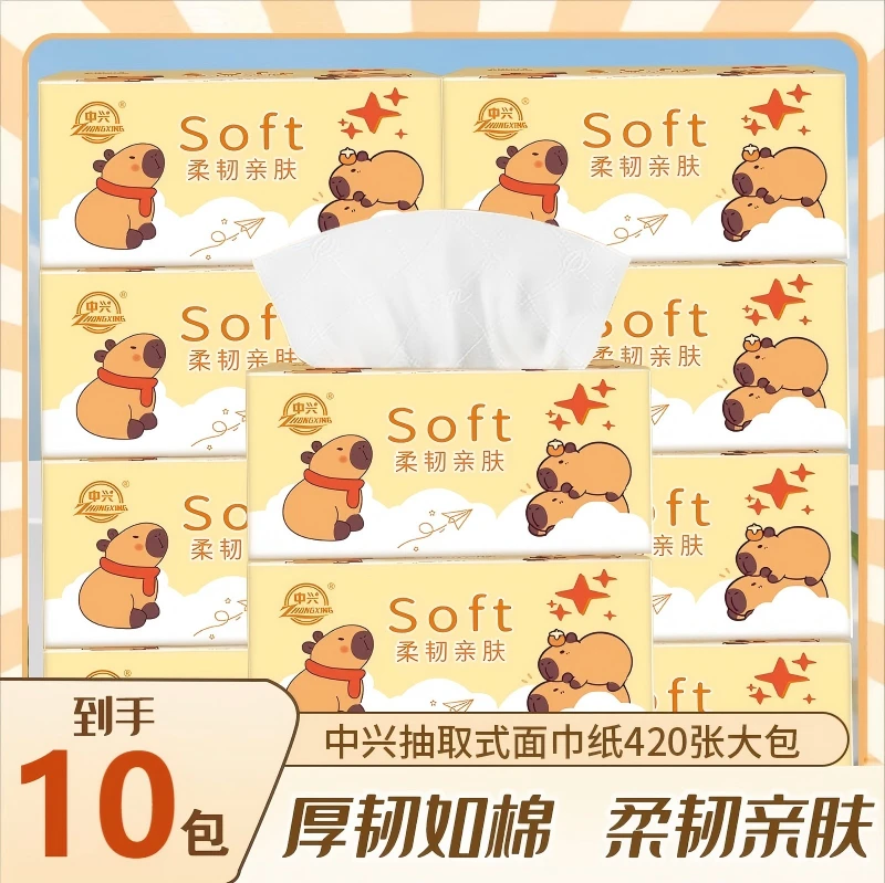 10包5层卡皮巴拉整箱加厚卫生纸干湿两用面巾纸家用纸