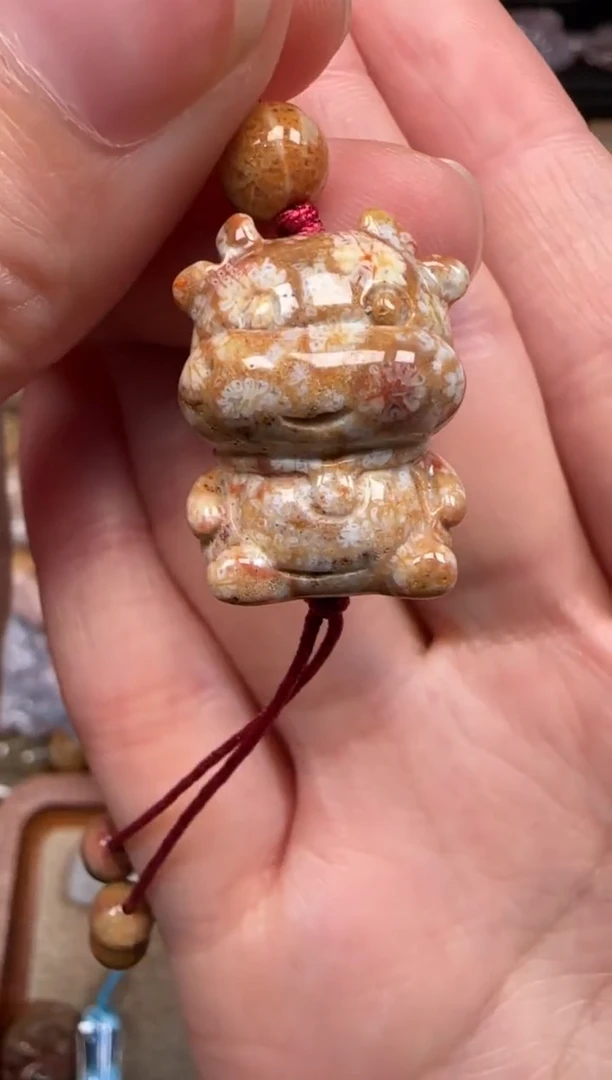 硅化珊瑚（珊瑚玉）未镶嵌颈饰191