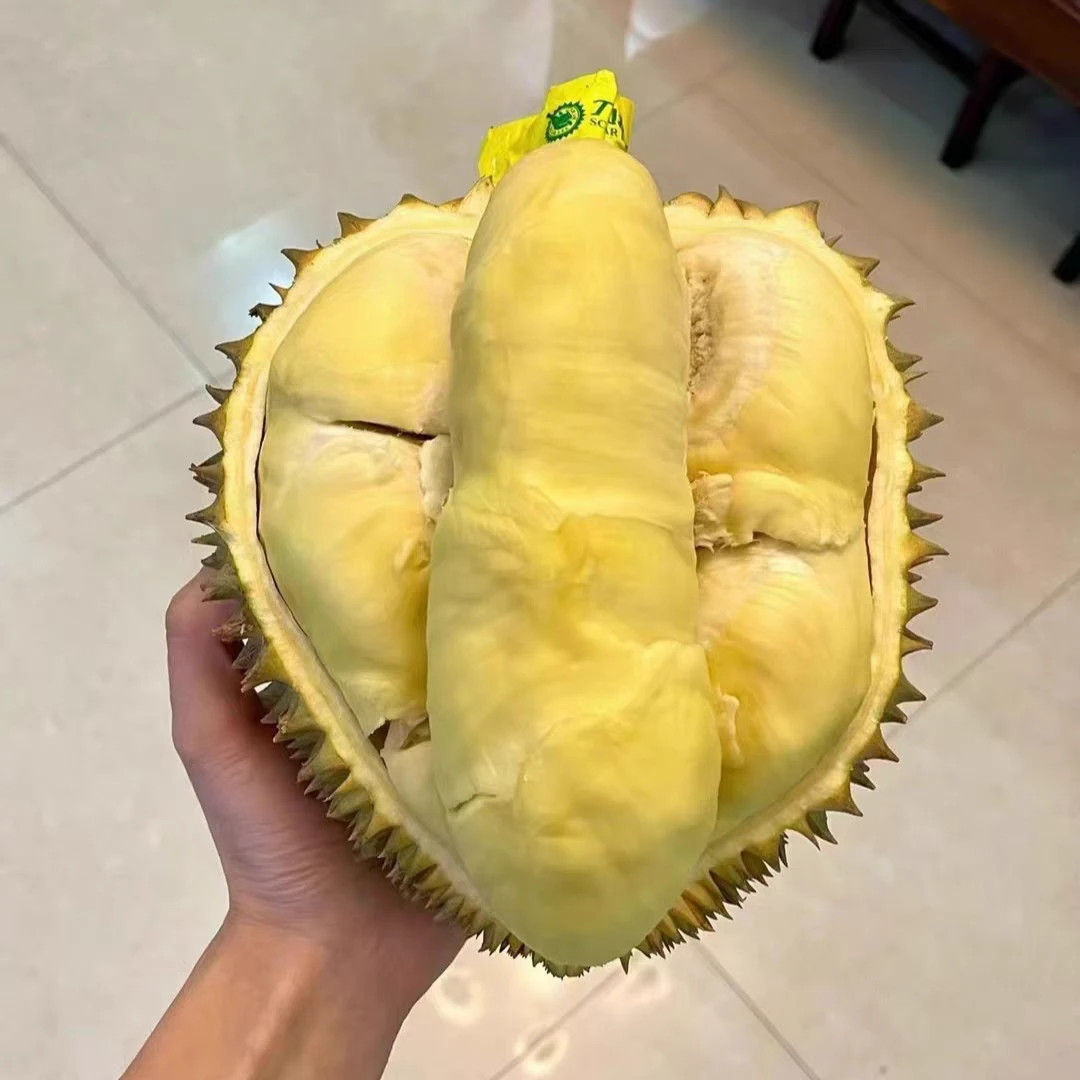 【刀疤李】空运树熟金枕榴莲，新鲜榴莲，一果一重（1000-4000g），核小金枕