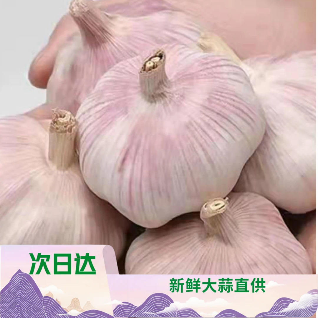 【明天到】新晒2025年新干蒜紫白皮大蒜产地直发大蒜头1斤3斤5斤9斤