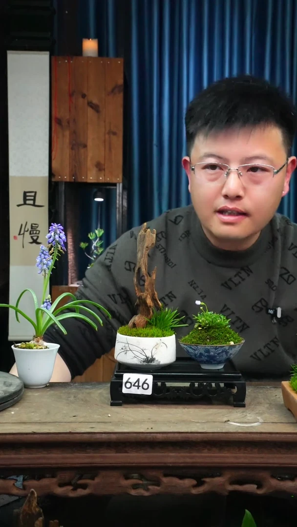 【闪购商品】苔藓微景观646号