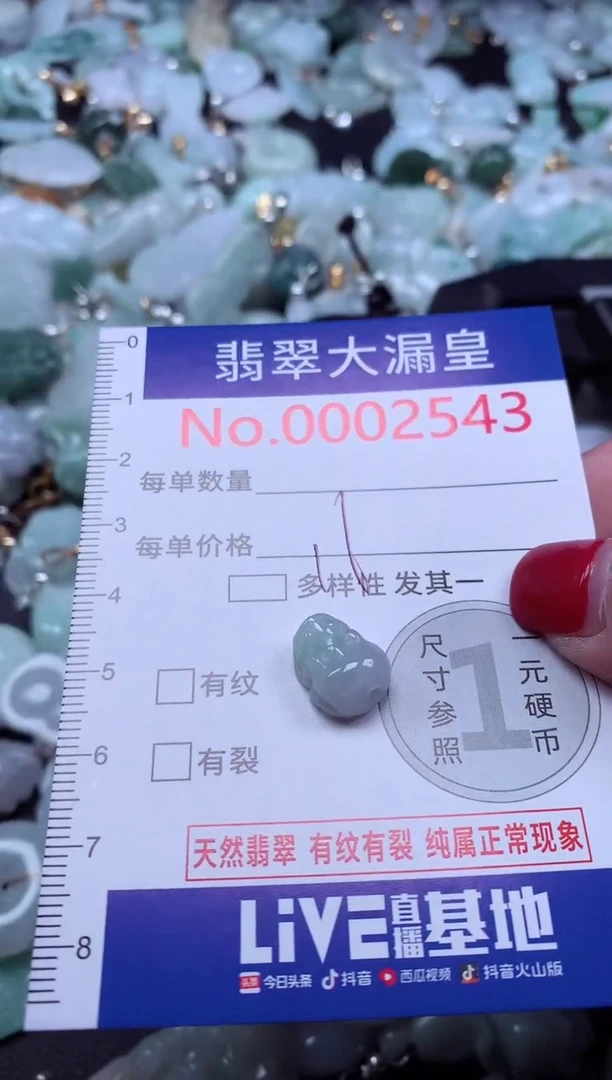 颈饰未镶嵌翡翠2543