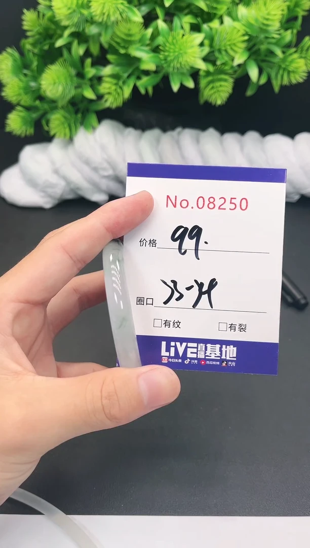 未镶嵌手镯翡翠8250