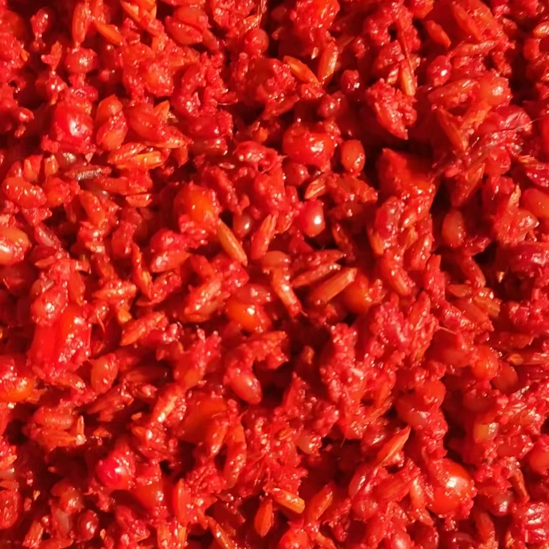 自制谷麦窝料主攻鲤鱼鲫鱼挂钩谷麦