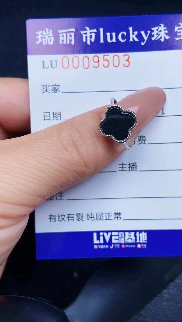翡翠银S925镶嵌颈饰9503.