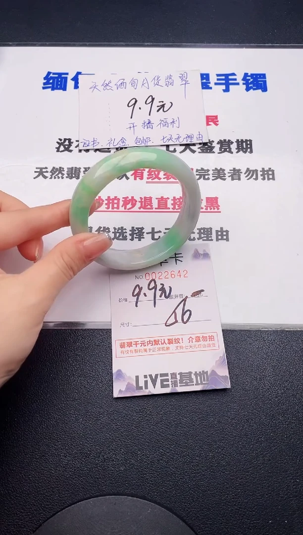 未镶嵌手镯翡翠42