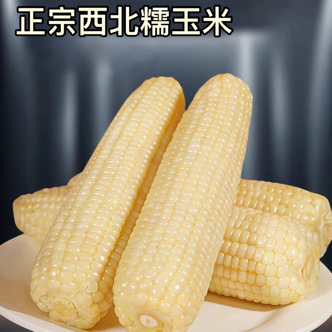 【试吃2根整箱6斤】正宗西北白糯玉米软糯香甜10根一大箱