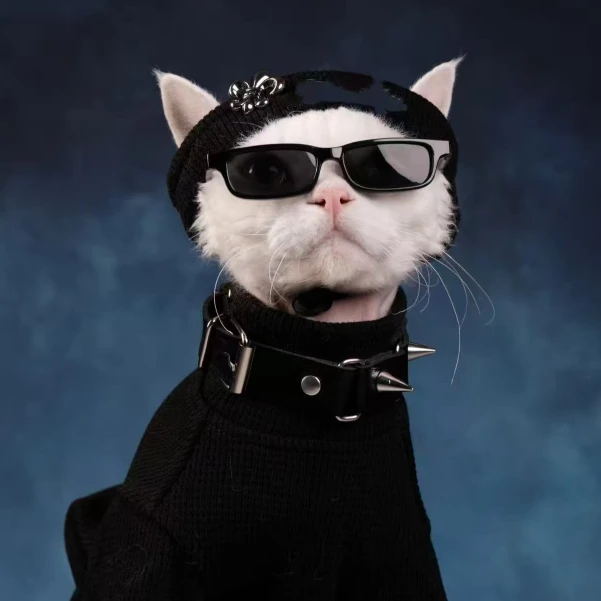 【39号】【全新未使用-拆盒】冬季上新潮奢外套男-J86035