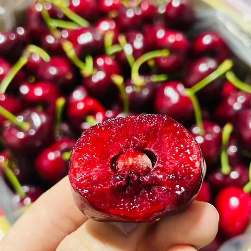 吉智车厘子JD 当季水果 桑提娜（原箱4斤装）（空运）桑提娜