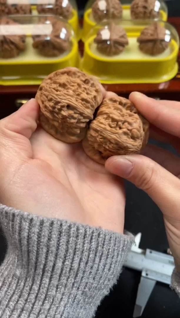 把件文玩核桃白狮子41尺R704