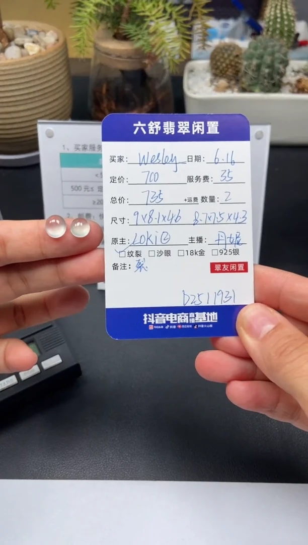 翡翠未镶嵌颈饰W****_D2511931
