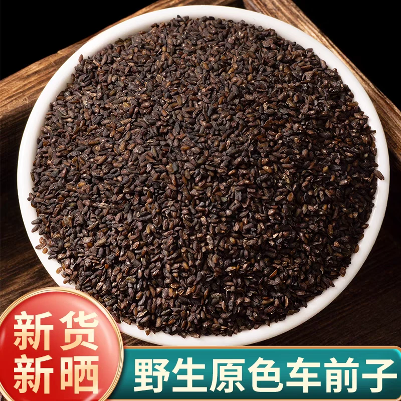 【车前子】精选正宗道地天然新货车前子搭配枸杞泡水泡茶喝滋补养生