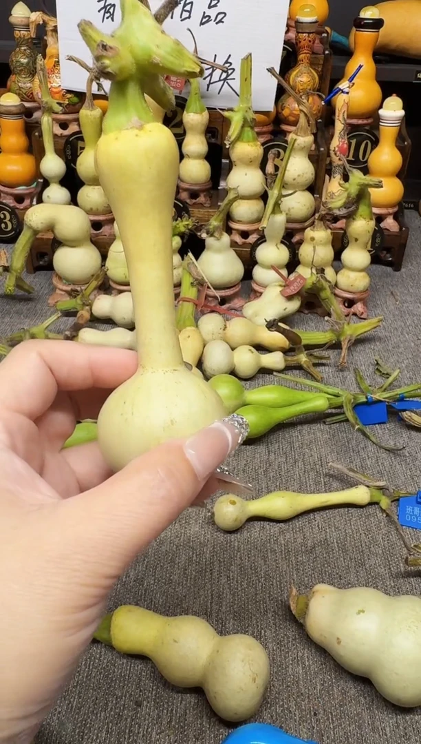 L**．高端葫芦高端客户