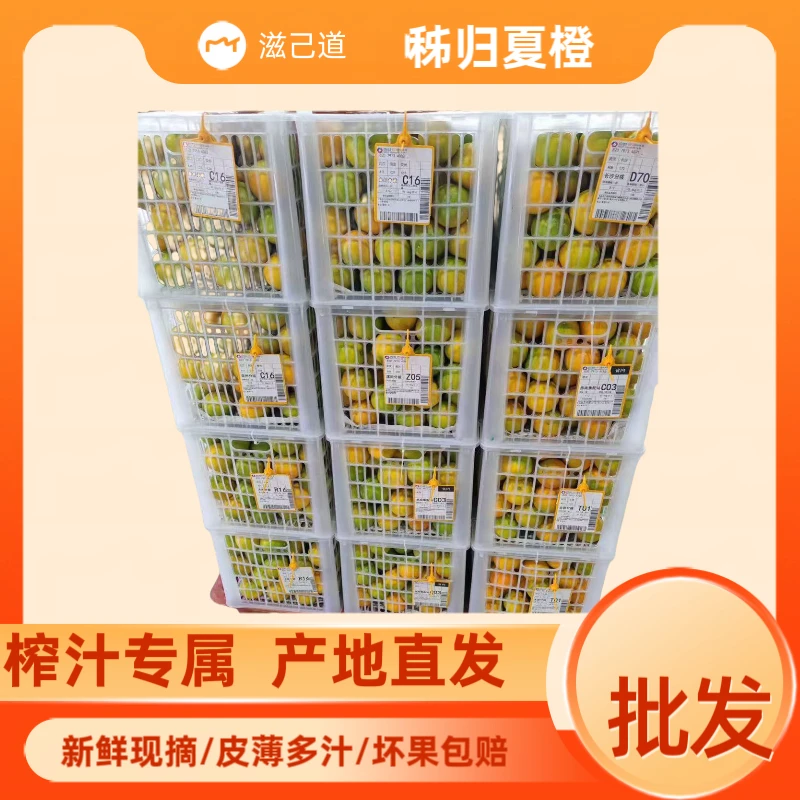 【榨汁专属】秭归夏橙现采先发新鲜皮薄多汁摆摊榨汁孕妇水果