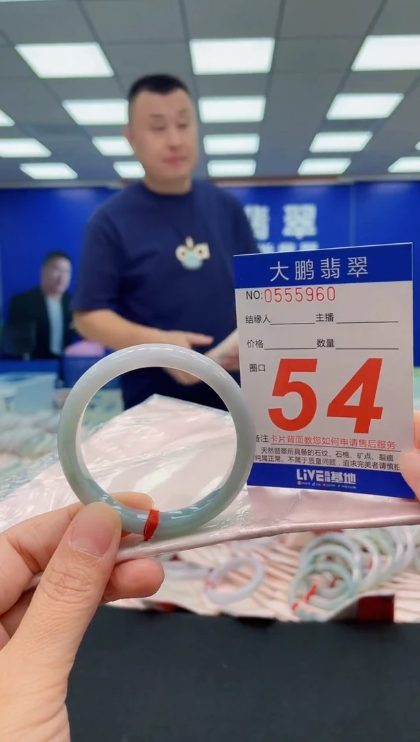 未镶嵌手镯翡翠AAAAAAAAA