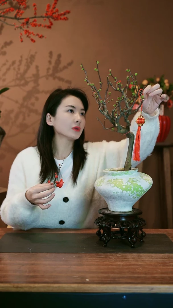 【闪购商品】盆景海棠花 绿