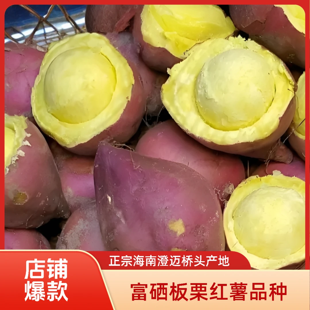 【圆果】海南澄迈桥头富硒地瓜粉糯香甜板栗红薯新鲜现挖纯正小香署
