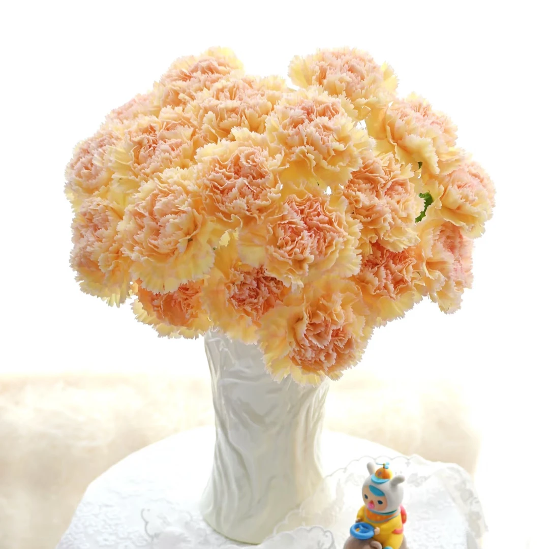 【云舍花卉】【可可西里】康乃馨 全场任意满两单及以上鲜花包邮发货