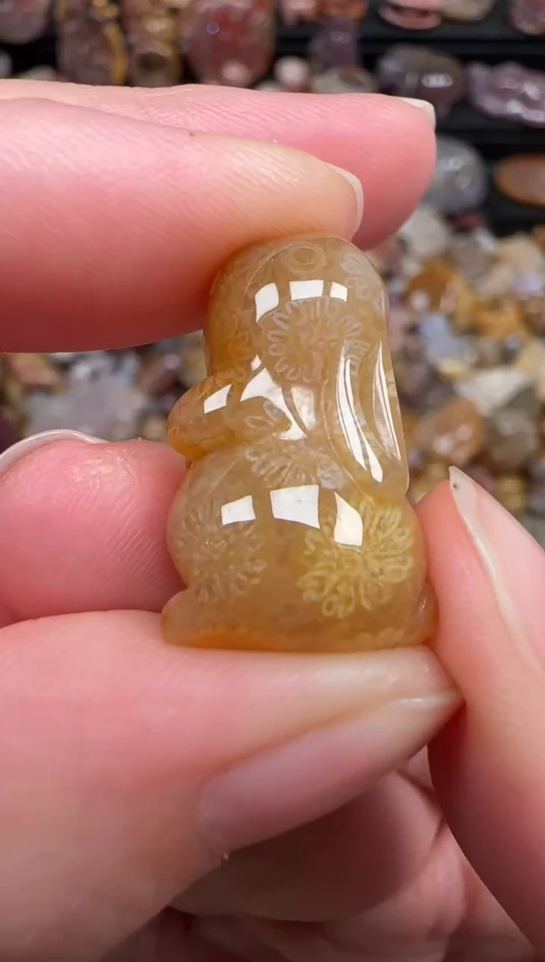 颈饰未镶嵌硅化珊瑚（珊瑚玉）393