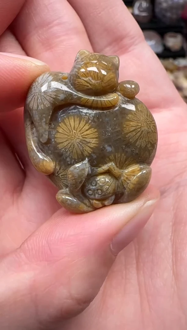 颈饰未镶嵌硅化珊瑚（珊瑚玉）644