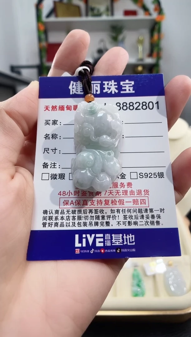颈饰未镶嵌翡翠天然缅甸翡翠 貔貅(一物一证)