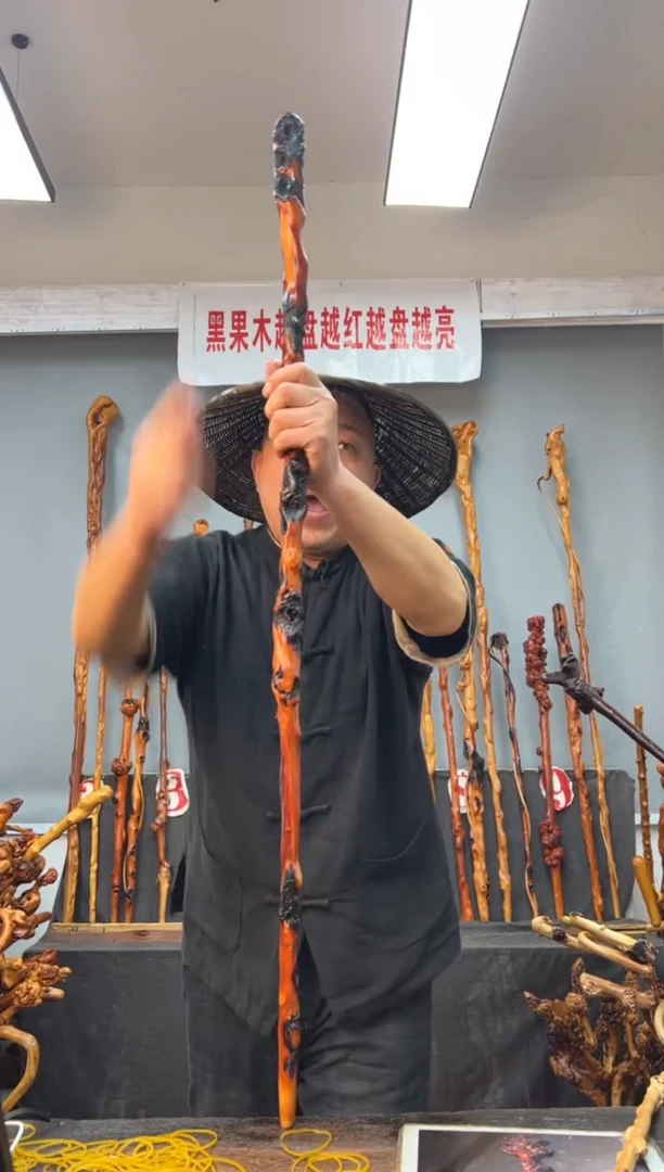 【闪购商品】黑果木其他黑果木639