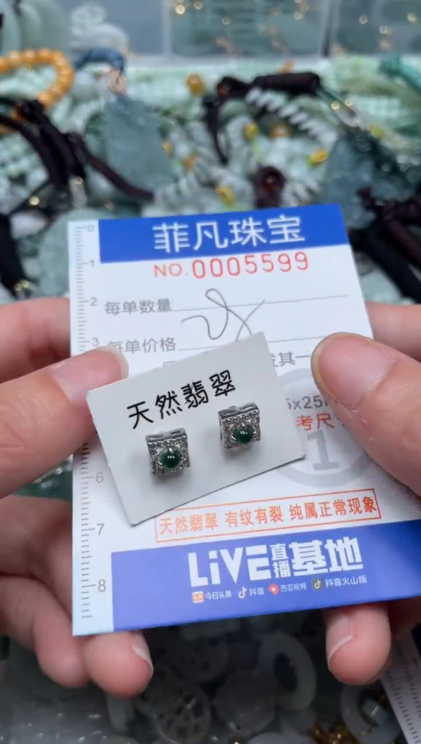 【闪购商品】翡翠颈饰未镶嵌00..5599