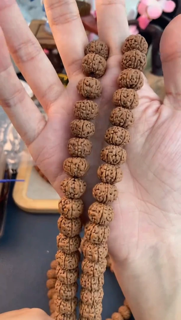 手串金刚菩提845六瓣老树王108