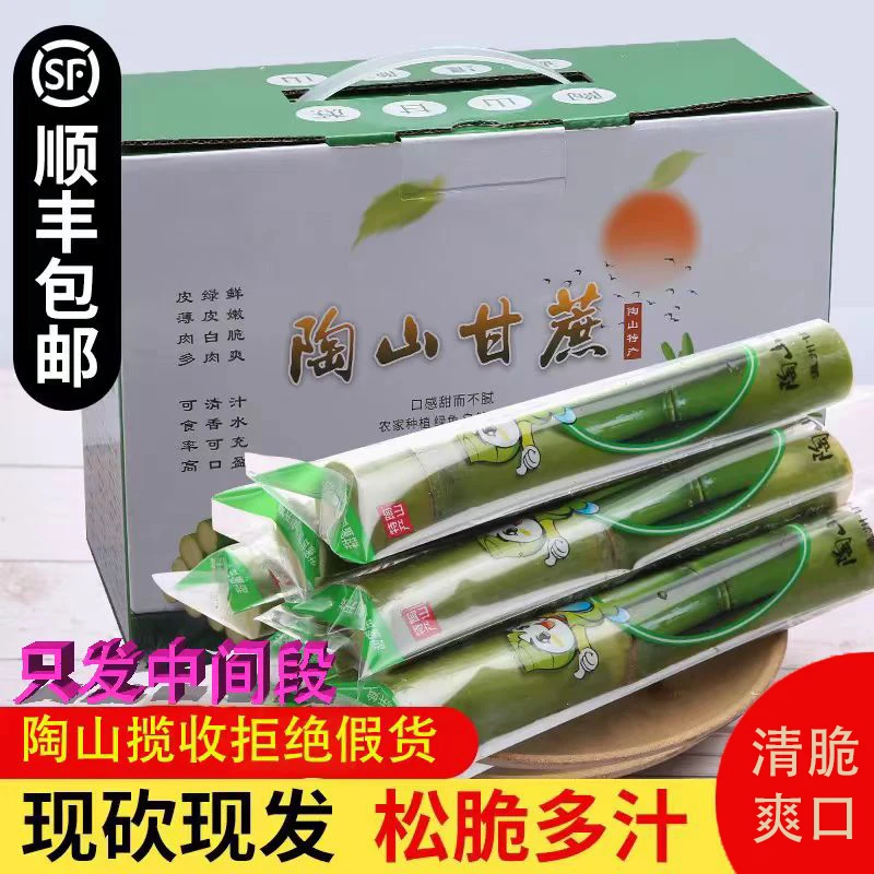 陶山青皮甘蔗现砍现发新鲜青皮绿皮甘蔗孕妇水果应季果蔗现砍脆甜