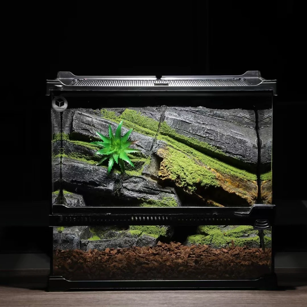 雨林缸 爬宠宠物蜘蛛 高端环境专用  爬宠缸