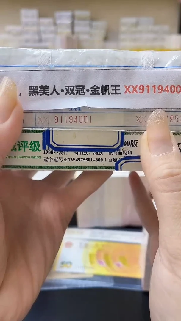 M 05，黑美人·双冠·金帆王 XX91194001