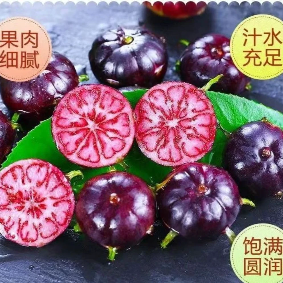 【鲜果尝鲜】正宗云南红果参新鲜现摘大果当季蜘蛛果