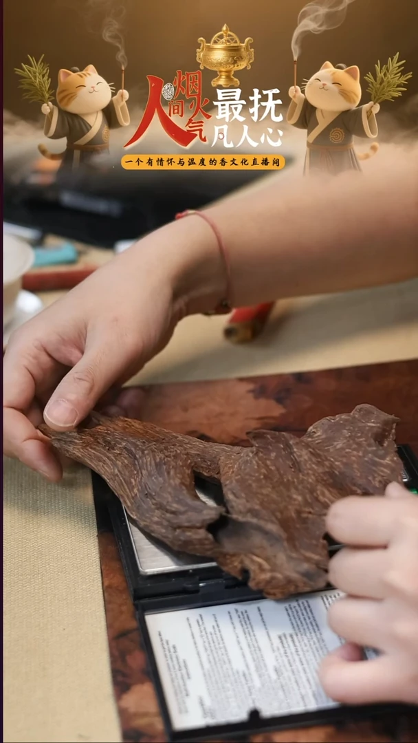 线香禅猫香舍 芽庄摆件81.8   9999