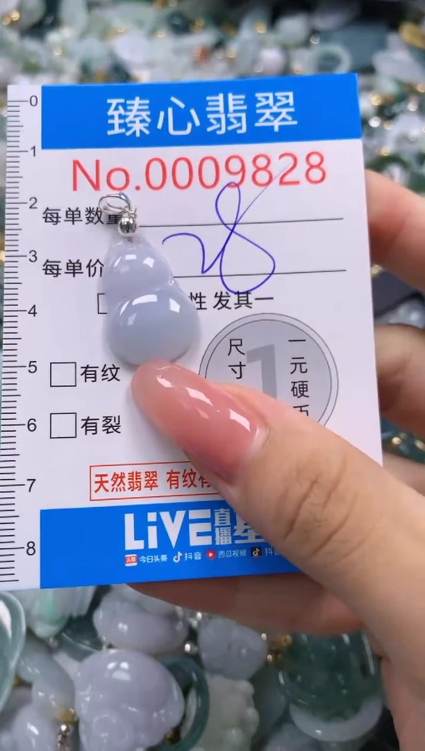 翡翠未镶嵌颈饰9828