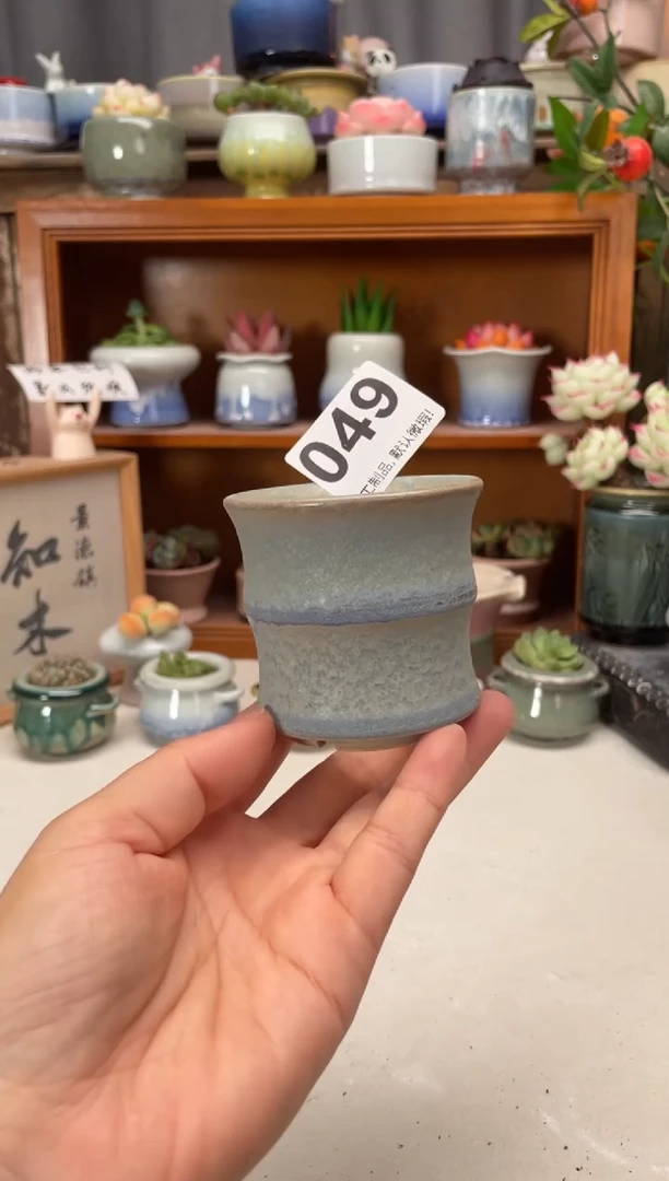 瓷片049知木小芳花盆
