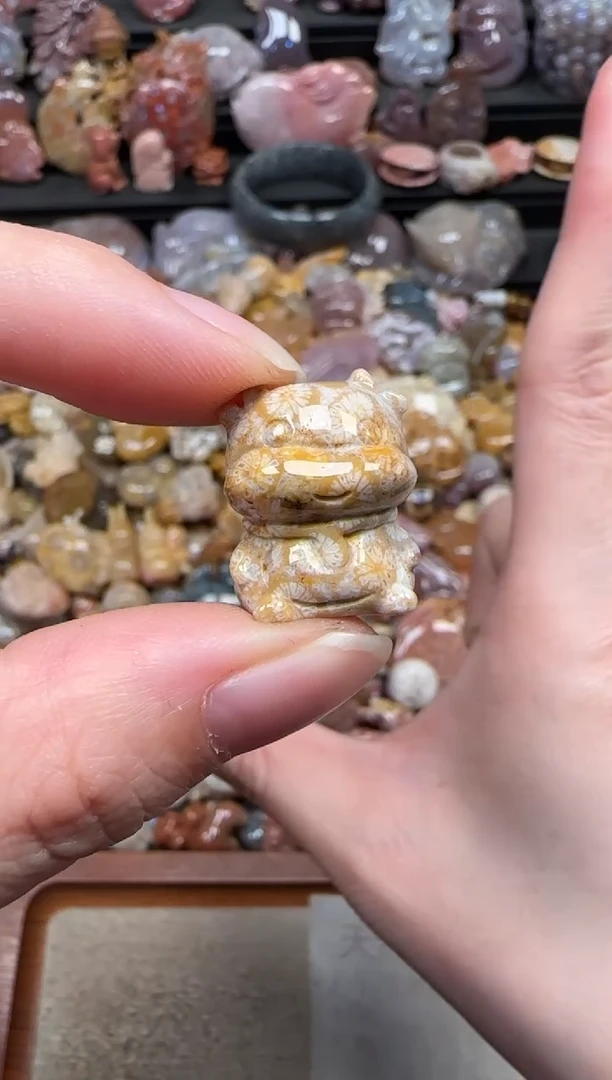 颈饰未镶嵌硅化珊瑚（珊瑚玉）297