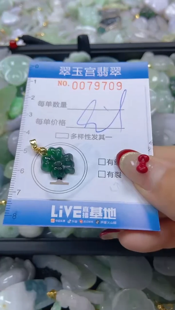 【闪购商品】翡翠颈饰未镶嵌闪购0079709