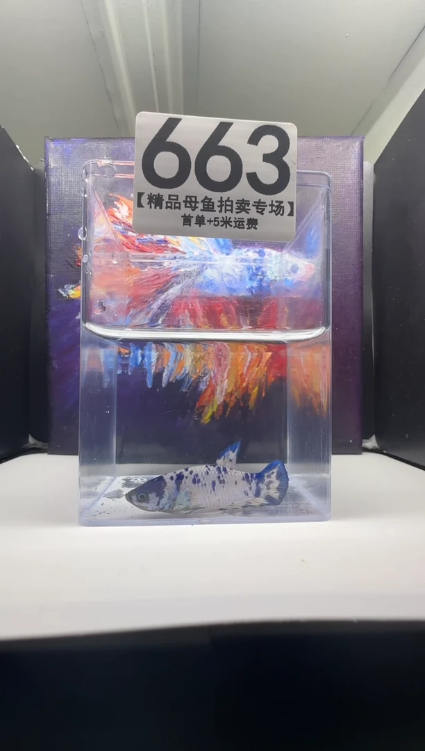 斗鱼母鱼编号：663