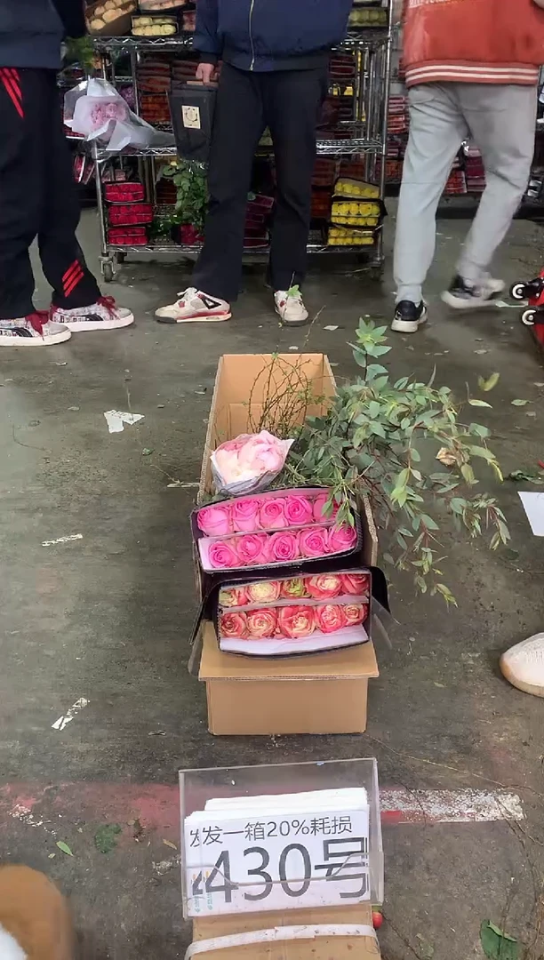 430号♥中通含20%耗损发一箱鲜花