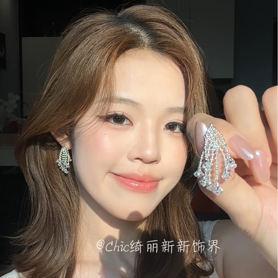合金耳饰 韩系银色流苏耳钉女2025新款小众设计感轻奢气质耳饰
