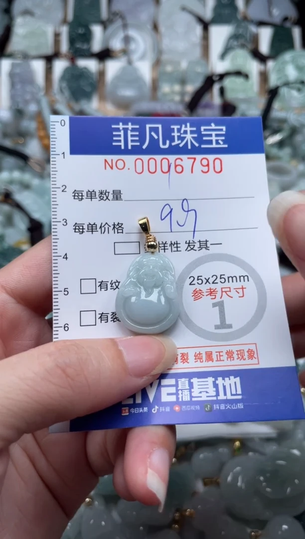 翡翠未镶嵌颈饰00..6790
