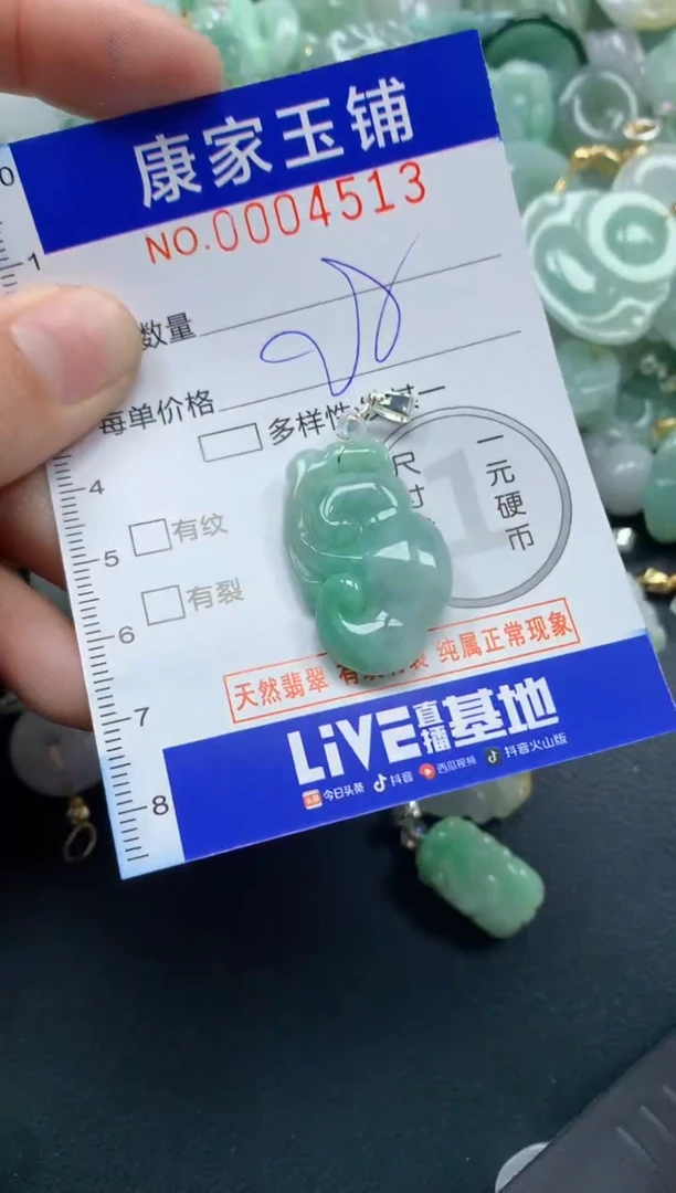 颈饰未镶嵌翡翠4513