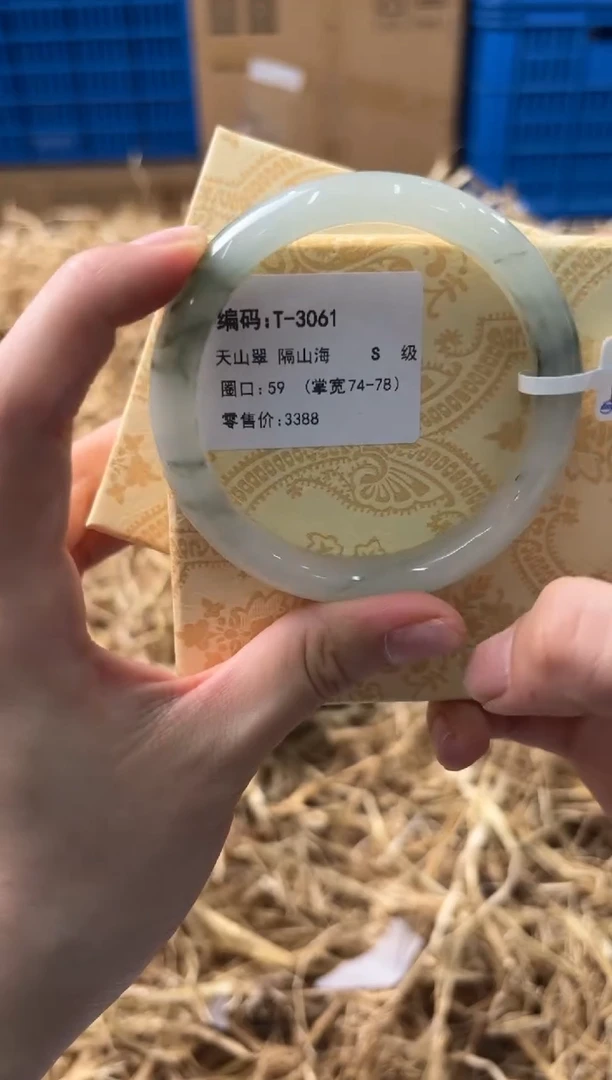 未镶嵌手镯石英质玉T3061
