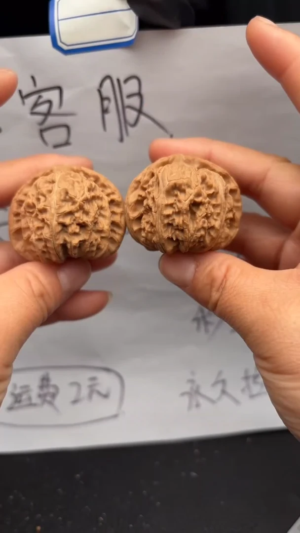 把件文玩核桃437白狮子