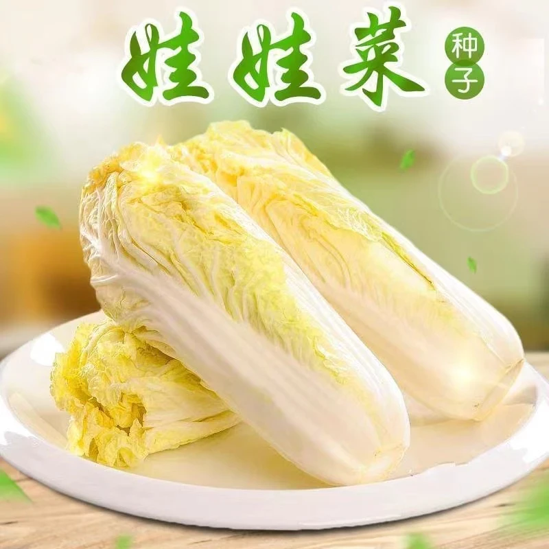 【全店满8包包邮】娃娃菜种子