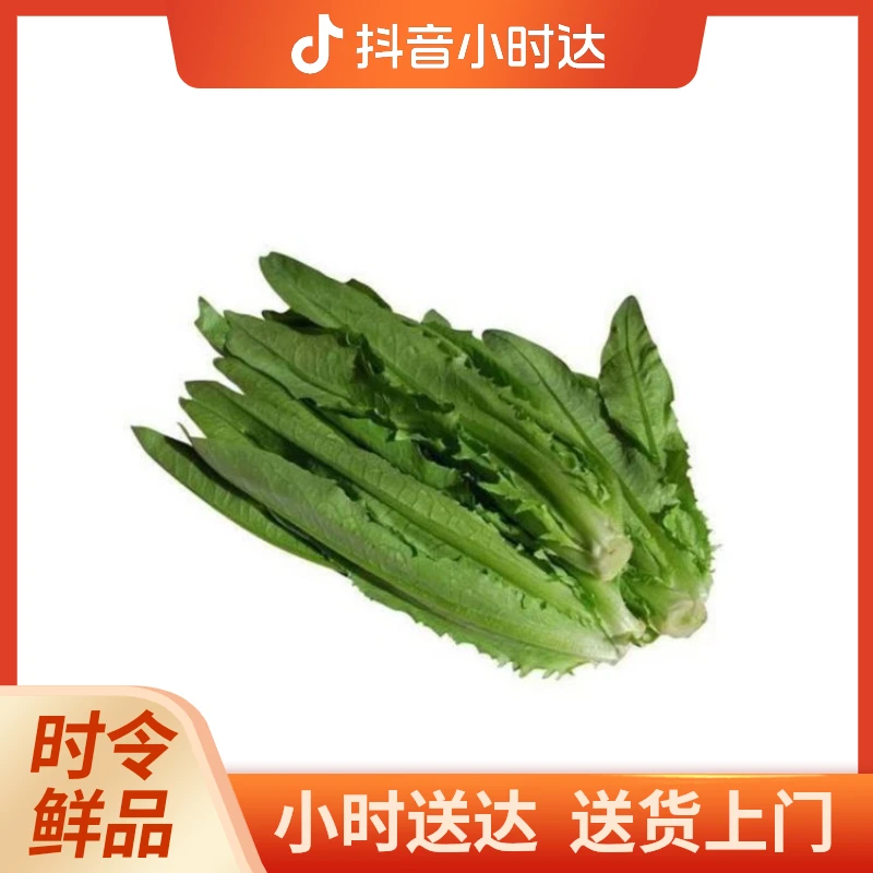 油麦菜1斤左右