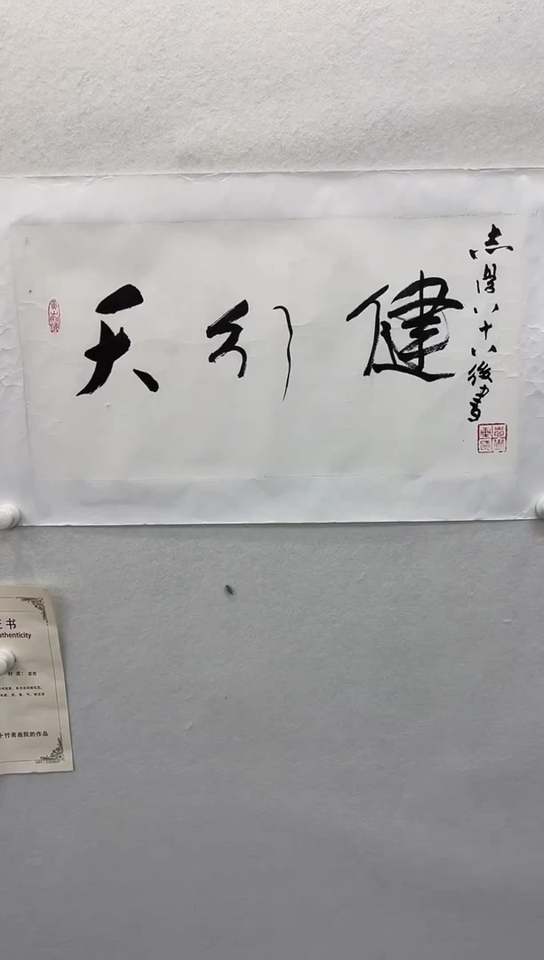 【闪购商品】国画于志学纯手绘作品