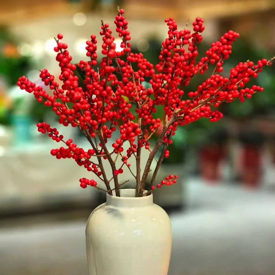 【独鬏鬏优选】A级 [冬青] 氛围感拉满鲜切新鲜采摘冷链配送