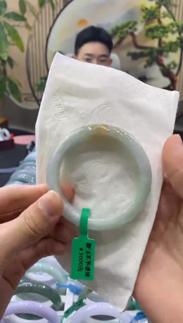 未镶嵌手镯翡翠8801